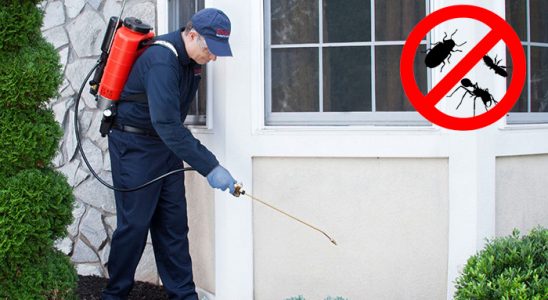 Havsa Karınca İlaçlama böcek ilaçlama ve haşere kontrolü — ilaclama-tr.com